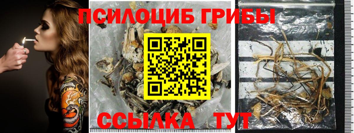 Галлюциногенные грибы мицелий  Вход с VPN  Галлюциногенные грибы прущие грибы  Обь 